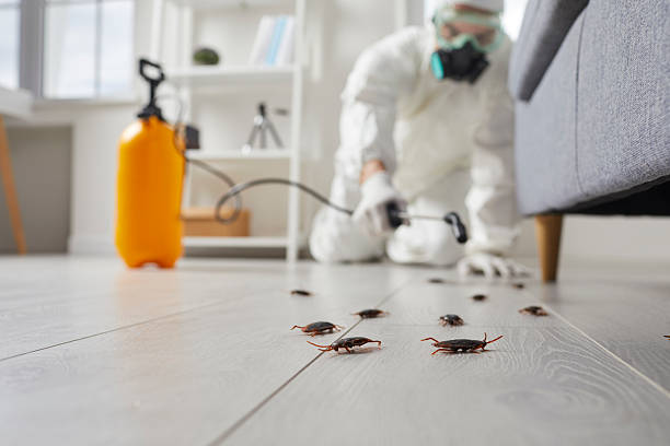 Commercial Kitchen Cockroach Control in Vinton